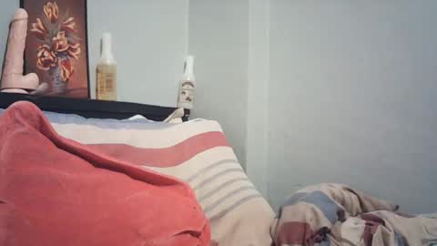 Snapshot of wildfiery chatting on February 19, 4:08 am wildfiery online show from February 19, 4:08 am