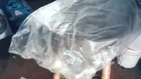 wildman6 online show from November 2, 8:44 pm