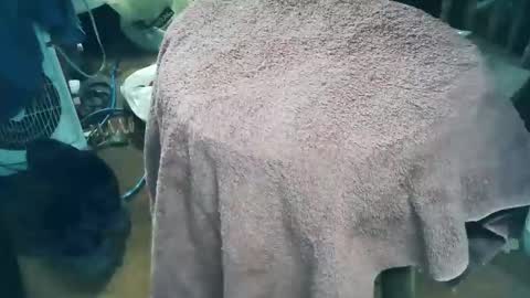 wildman6 online show from March 28, 9:58 pm