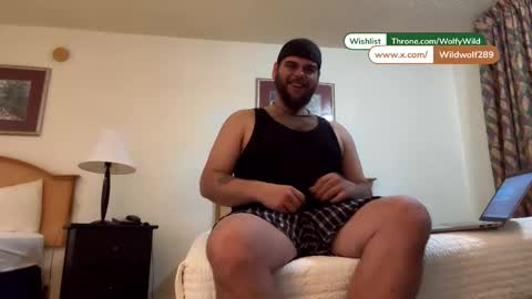 Wolfy Wild online show from January 12, 6:51 am