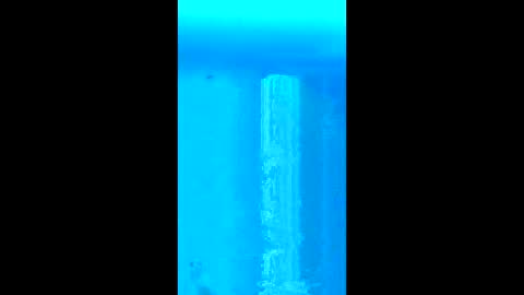 willielowrider online show from February 18, 3:08 pm