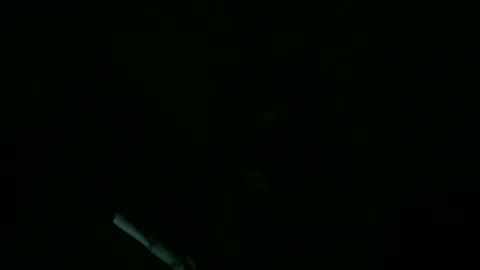 Willhedoher online show from September 11, 11:43 am