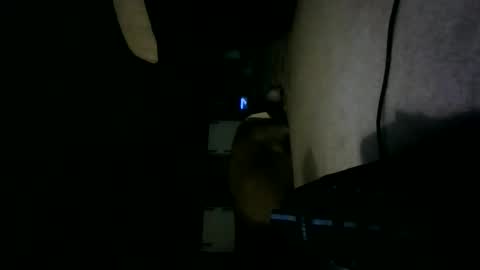 Willhedoher online show from October 15, 12:27 pm