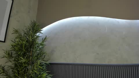 Ms Willow online show from February 20, 4:25 pm