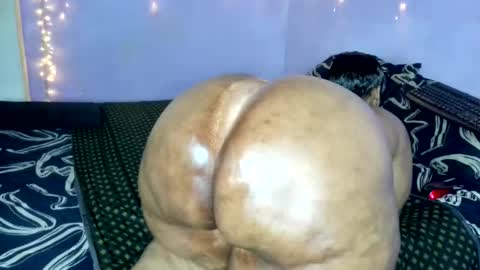 wilmaassylum online show from November 20, 5:51 am