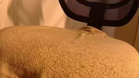 Mater online show from November 14, 5:44 pm