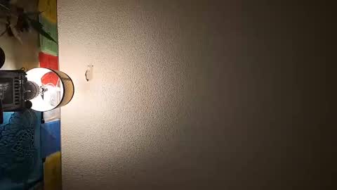 wizardmike421 online show from November 19, 3:06 am