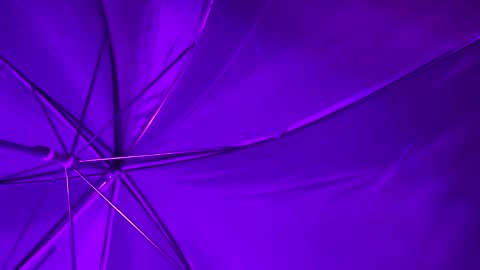 Wiz and Candy online show from January 8, 5:16 am