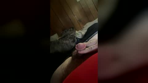 wolfdrose online show from June 30, 6:42 pm