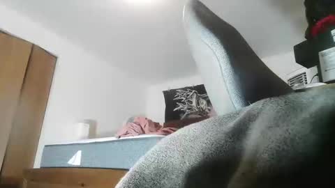 wolfman79 online show from May 17, 5:31 pm