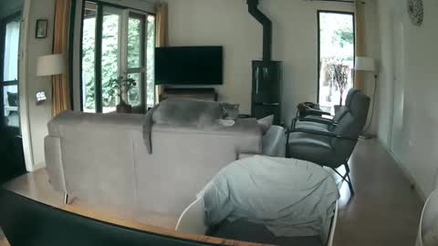 woodwurm and Snoeske online show from October 9, 7:06 am