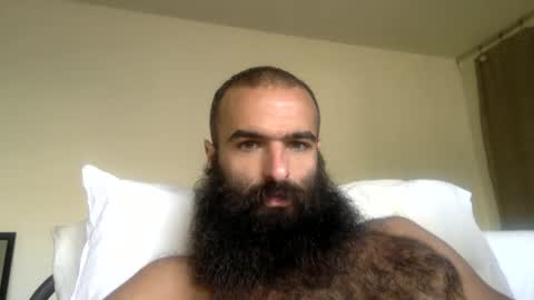 Snapshot of woof_wolf37 chatting on April 7, 3:45 pm woof_wolf37 online show from April 7, 3:45 pm
