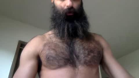 Snapshot of woof_wolf37 chatting on April 15, 3:52 pm woof_wolf37 online show from April 15, 3:52 pm
