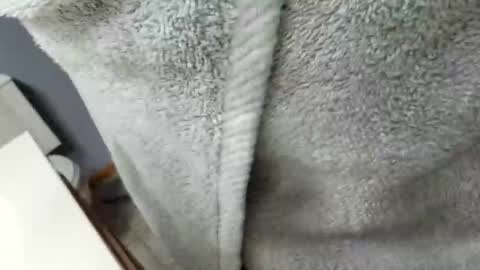 Snapshot of workingman6969 chatting on February 26, 9:37 pm workingman6969 online show from February 26, 9:37 pm