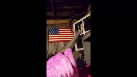 wowsers7 online show from March 25, 4:40 am