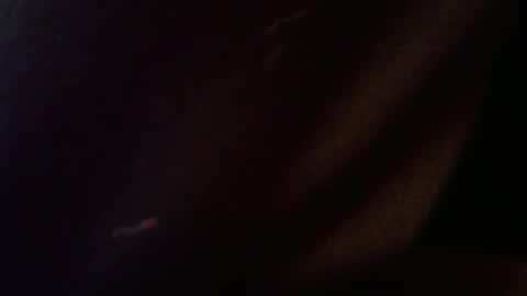 wrangleat0r online show from February 12, 2:50 am