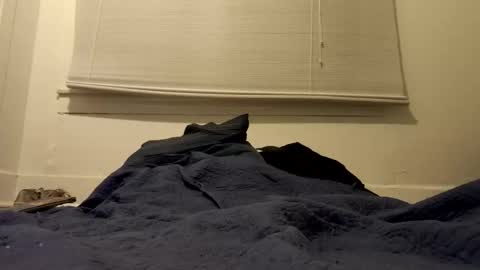 Tslexislut online show from April 17, 9:34 am