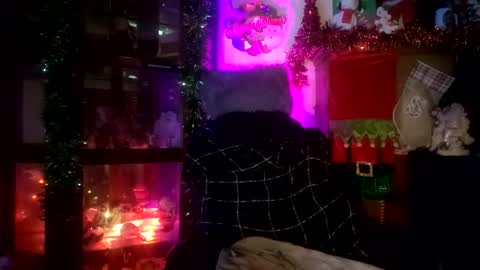 SCOOTER online show from November 23, 6:19 pm