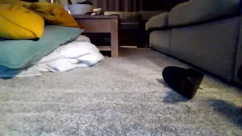 Snapshot of wyndir chatting on November 15, 7:32 pm wyndir online show from November 15, 7:32 pm