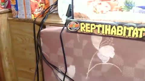 x2kayx2 online show from January 13, 9:42 pm