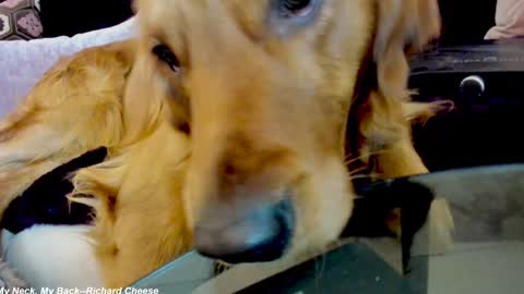 Snapshot of x_lily_x chatting on January 15, 2:38 am Lily online show from January 15, 2:38 am