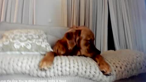 Snapshot of x_lily_x chatting on February 21, 12:27 am Lily online show from February 21, 12:27 am