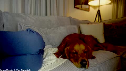 Snapshot of x_lily_x chatting on September 15, 11:27 pm Lily online show from September 15, 11:27 pm