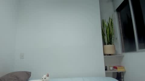 Xavier online show from September 28, 12:38 am