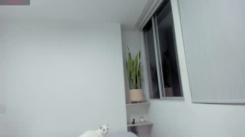 Xavier online show from December 13, 11:32 pm