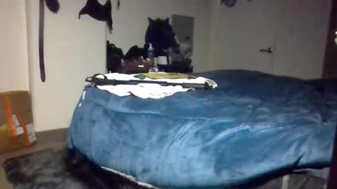 Toke online show from December 9, 2:06 pm