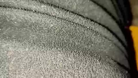 ximradiaz online show from November 23, 1:27 am