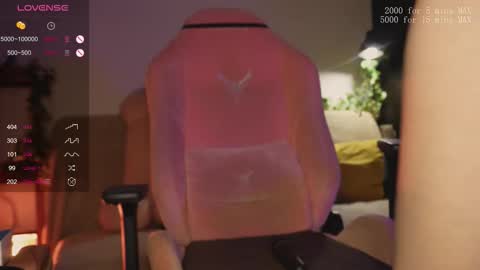    online show from February 6, 11:41 pm