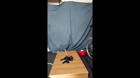 xoomia3 online show from January 10, 10:28 am