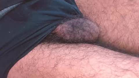 Prince online show from January 8, 4:53 pm