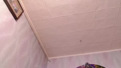 isa and gonzo online show from December 20, 8:49 am