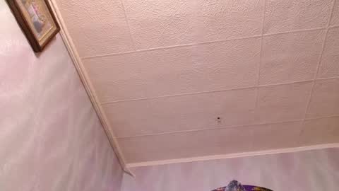 isa and gonzo online show from December 20, 11:54 am