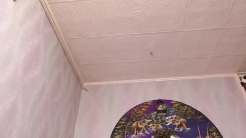 isa and gonzo online show from December 16, 4:39 am