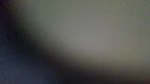 xxxpaws online show from July 1, 8:16 am