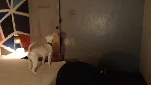 Melissa online show from February 4, 11:49 am