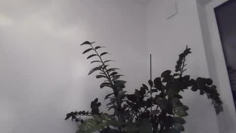 Snapshot of yakijoe chatting on October 22, 10:09 pm yakijoe online show from October 22, 10:09 pm