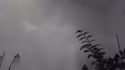 Snapshot of yakijoe chatting on November 6, 10:43 pm yakijoe online show from November 6, 10:43 pm