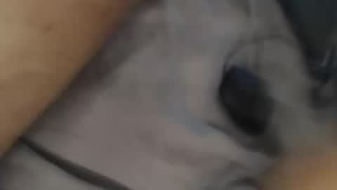 yallayalla1806 online show from November 18, 2:17 am