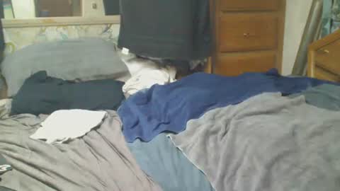 rocket online show from November 3, 11:00 am