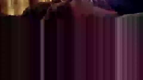 yangolox3 online show from September 18, 2:30 pm