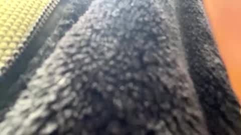 yasarsimo99154258 online show from April 7, 10:59 am