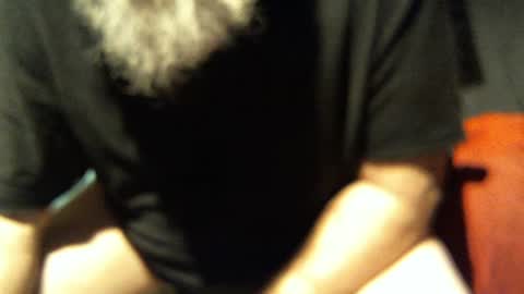 .     y e l l o w s n a k e s       . online show from November 18, 10:31 am