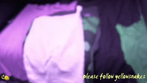 .     y e l l o w s n a k e s       . online show from December 17, 11:27 am