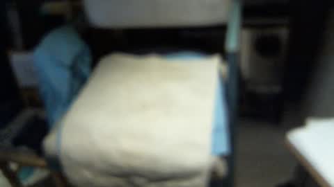 .     y e l l o w s n a k e s       . online show from February 3, 6:22 am