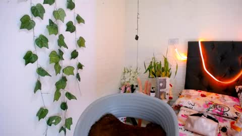 Snapshot of yemfairymcry chatting on June 10, 3:55 pm YEM online show from June 10, 3:55 pm