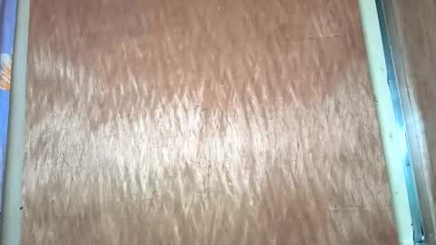 yhang_slut online show from November 30, 7:34 am